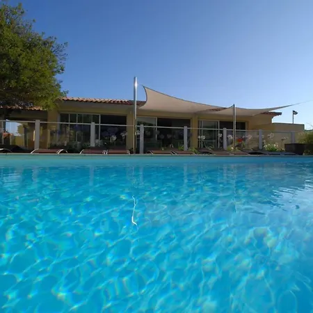 Palmier De 3 Piscine Commune Chauffee Calvi (Corsica)