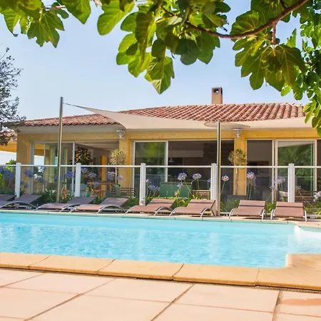 Palmier De 3 Piscine Commune Chauffee Apartment *