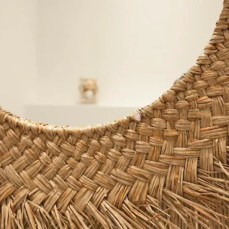 Palmier De 3 Piscine Commune Chauffee Apartment