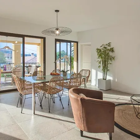 Palmier De 3 Piscine Commune Chauffee Calvi (Corsica)